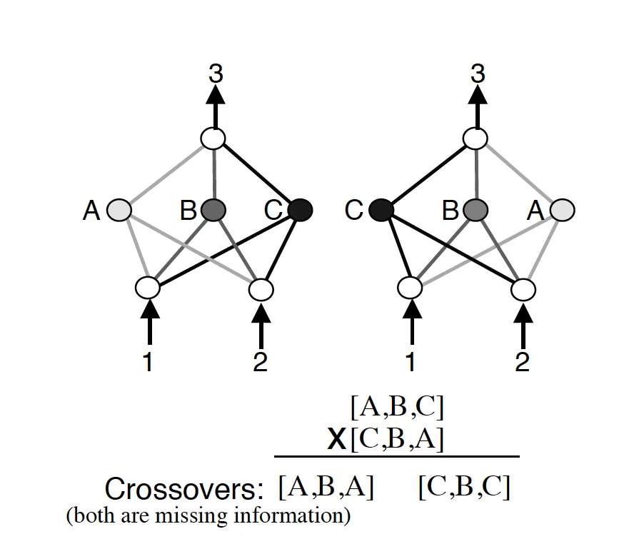 NEAT Competing Conventions Issues