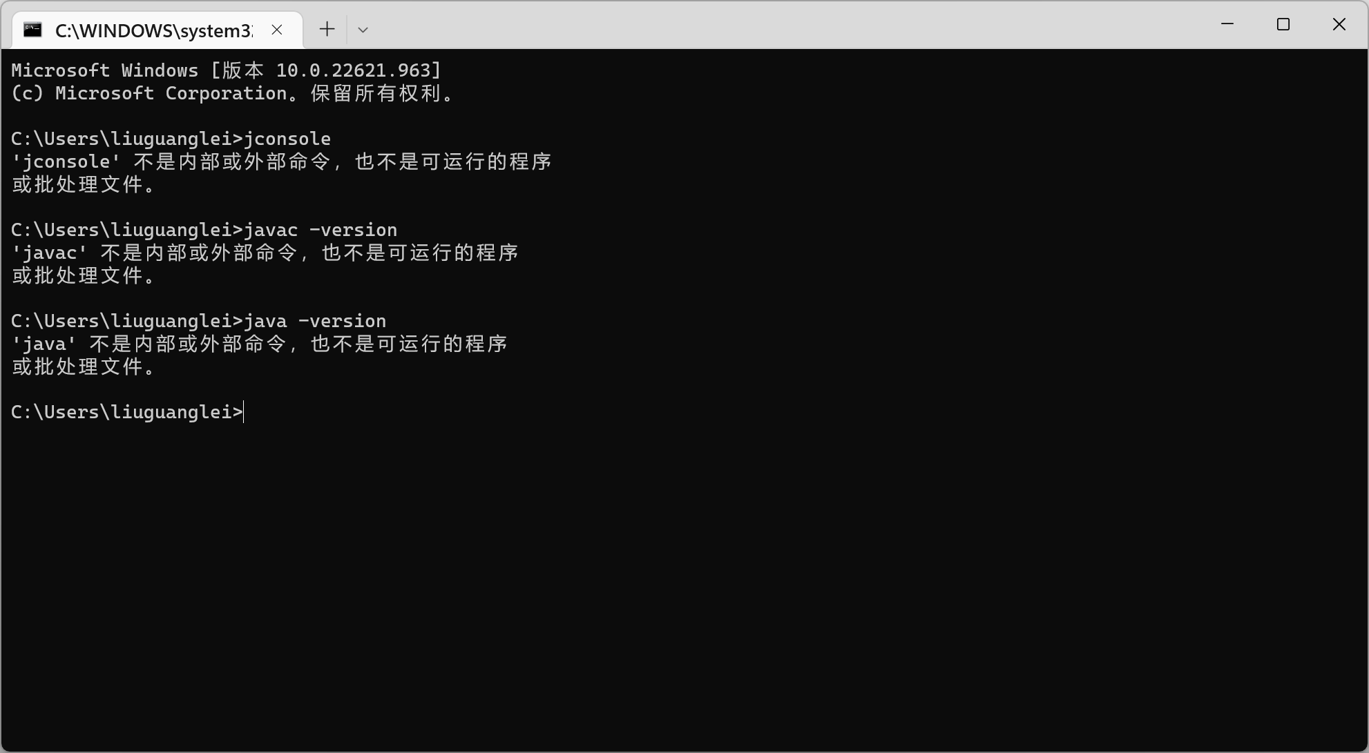 Java17的Path环境变量删除成功