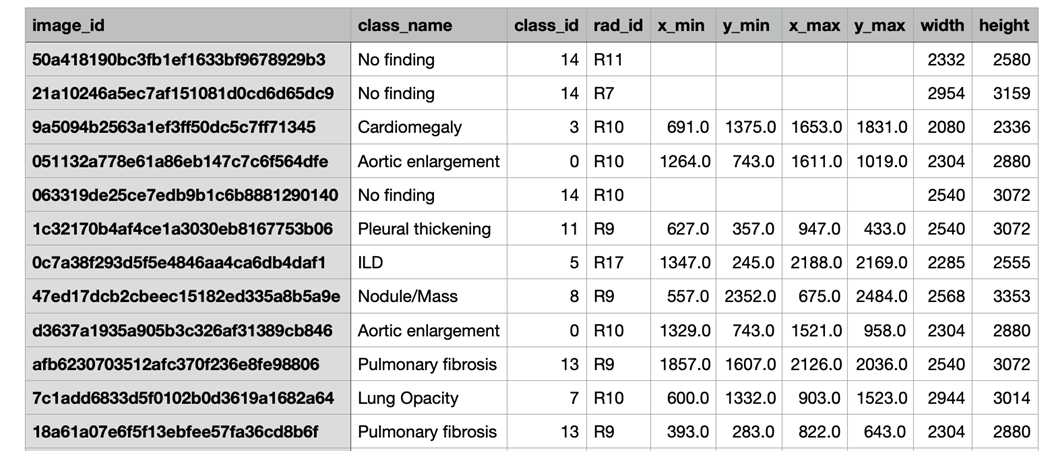 EXX-Blog-pytorch-yolo5-tutorial-7