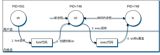 shell执行命令ls的步骤