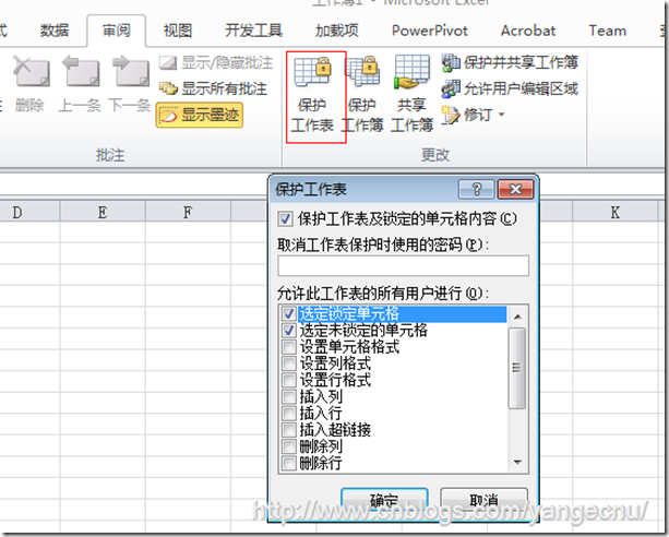 Excel workbook protection