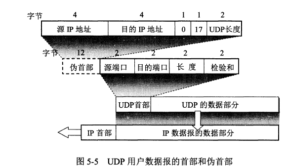 UDP格式