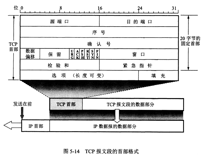 TCP报文格式