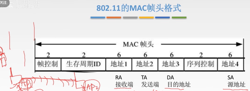 MAC帧