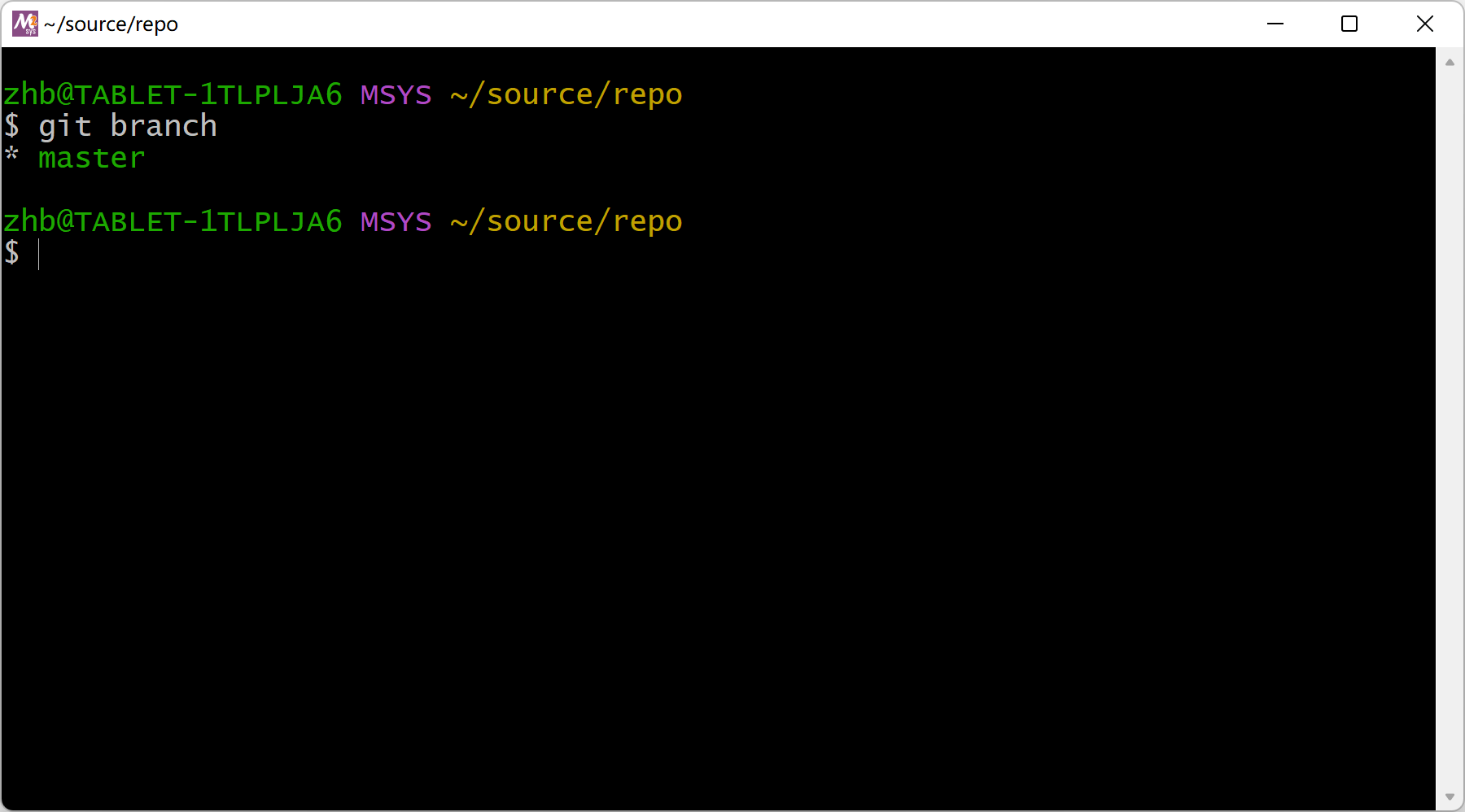 msys2-no-git-branch