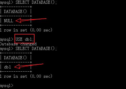 使用db1数据库