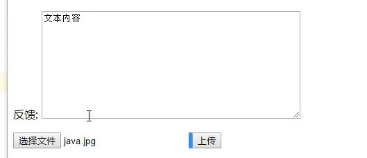 文本域和文件域1