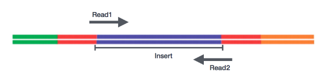 Sequencing 