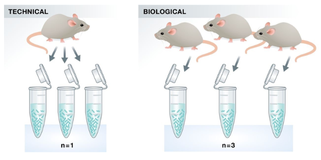 Klaus B., EMBO J (2015) 34: 2727-2730