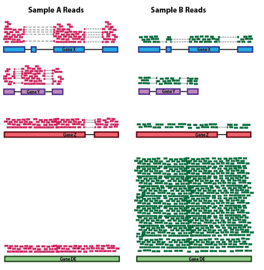 RNA composition