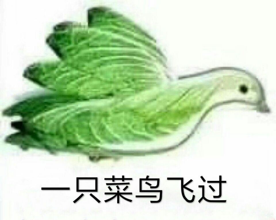 菜鸟