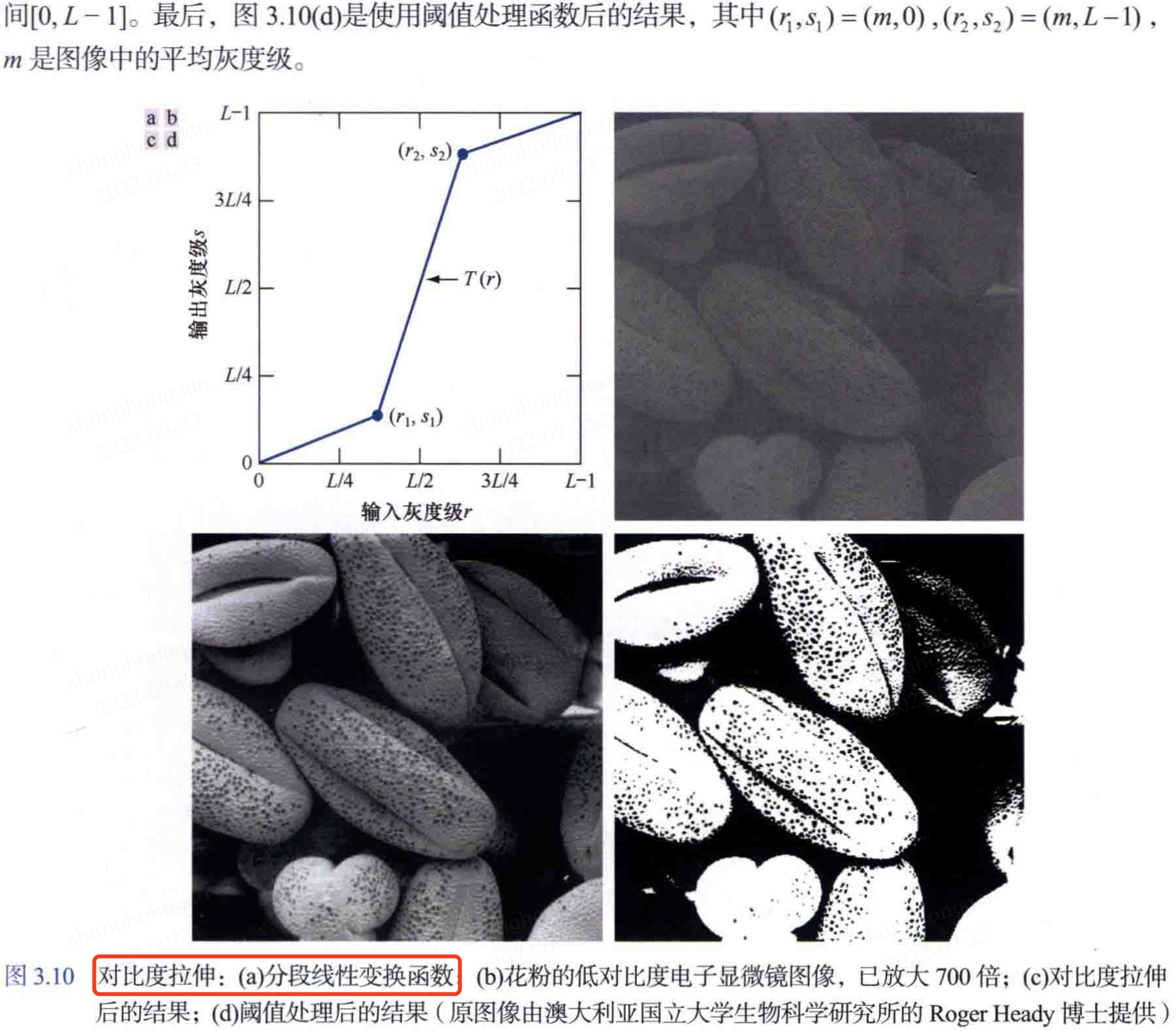 对比度拉伸