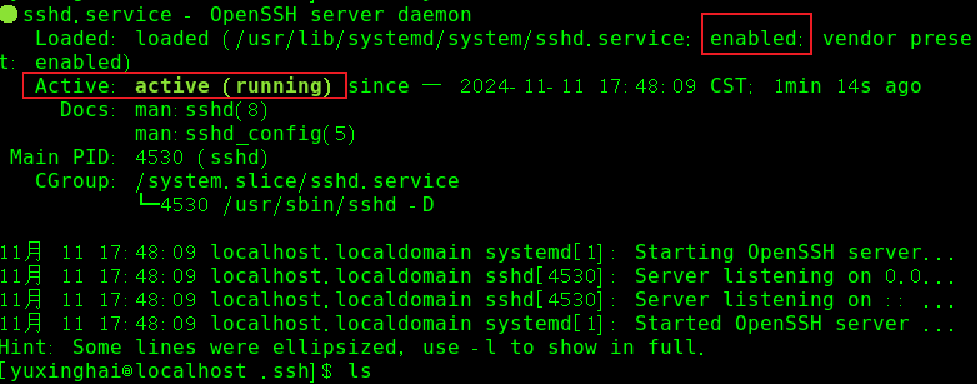 SSH服务器状态正常且开机自启动