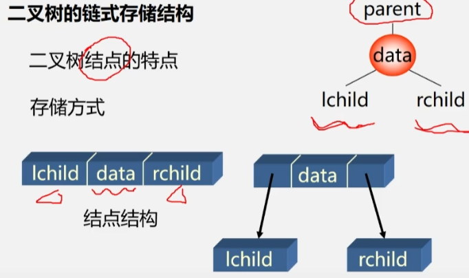 二叉树的链式存储结构