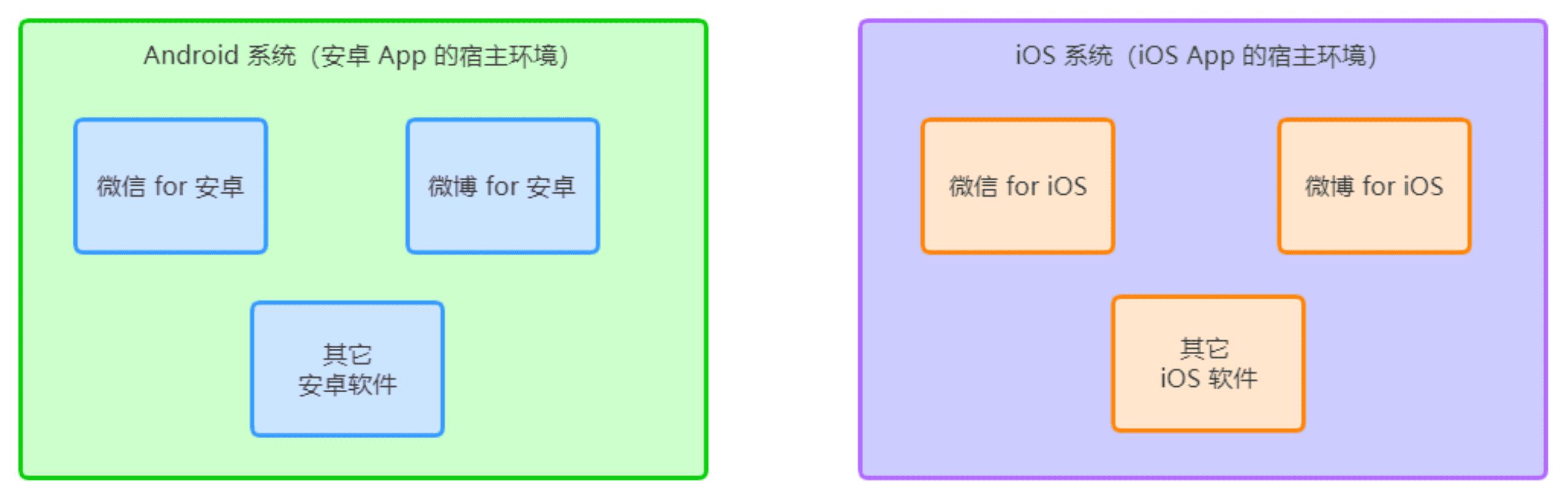 图片详情