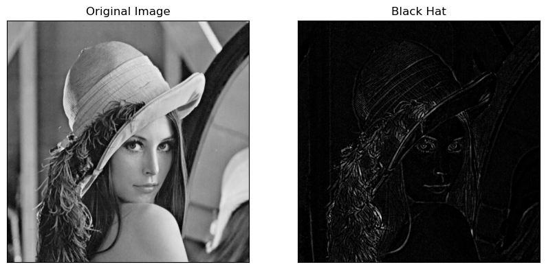 Original Image_Black Hat