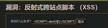 漏 洞 ： 反 射 式 跨 站 点 脚 本 (XSS)  你 叫 什 么 名 字 ？ <SCRlPT>alertCljr)</SCRlPTl 提 交 