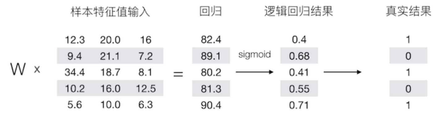 损失计算过程