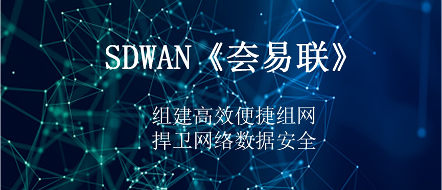 什么是 SD-WAN，它对网络、安全意味着什么？_网络运维_03