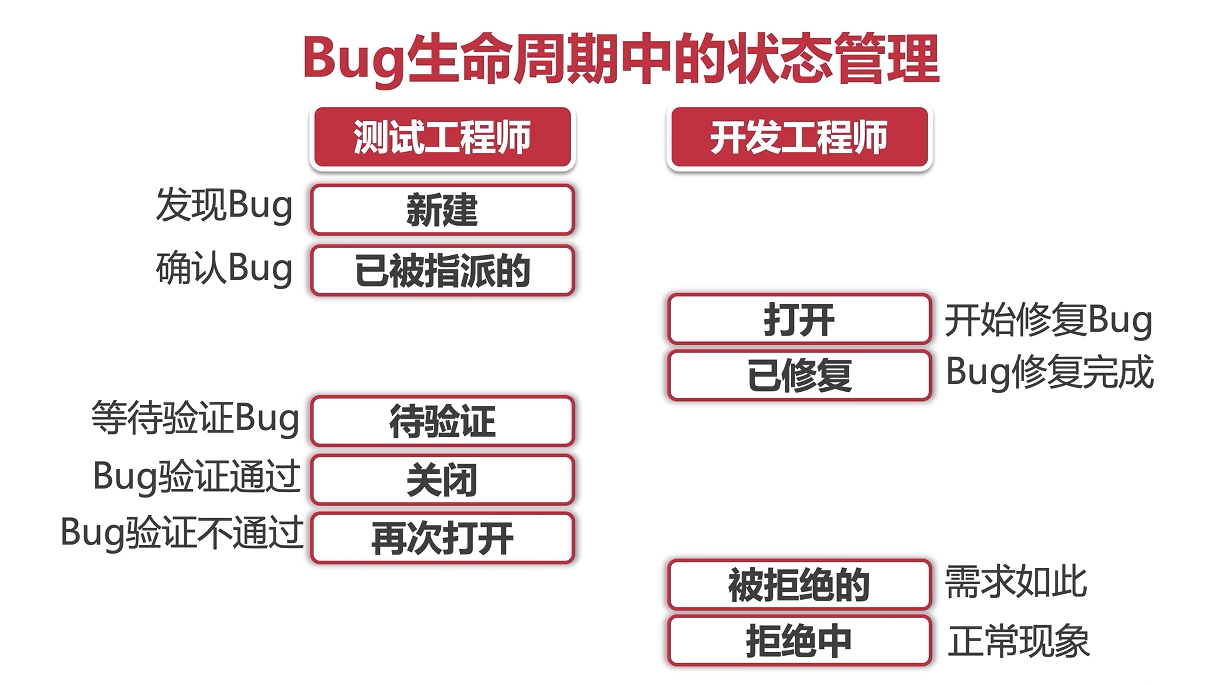 bug的生命周期_生命周期_06