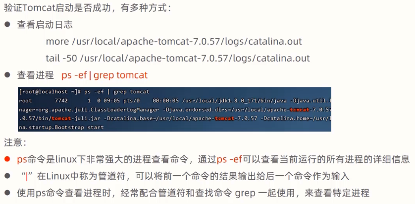 more /usr/local/apache-tomcat-7.O.57/logs/catalina.out 
tail -50 /usr/local/apache-tomcat-7.O.57/logs/catalina.out 
-ef I grep tomcat 
7742 
• grep 