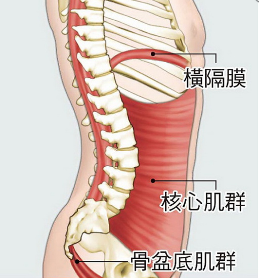 弹性站姿：感知身体的最好方法_spring_05