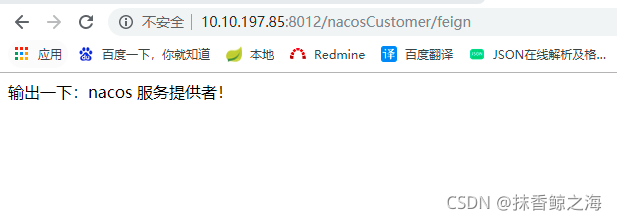 Spring cloud集成 Nacos实现服务注册与发现_rabbitmq_08