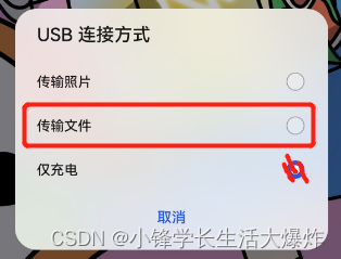 【教程】超详细通过Shizuku转生支付宝集成XQ_Crystal来自动收能量_蚂蚁森林