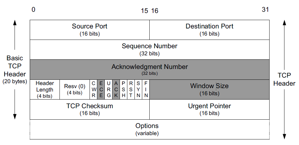 TCP系列01—概述及协议头格式_TCP_02
