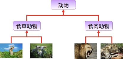 图片来自菜鸟教程