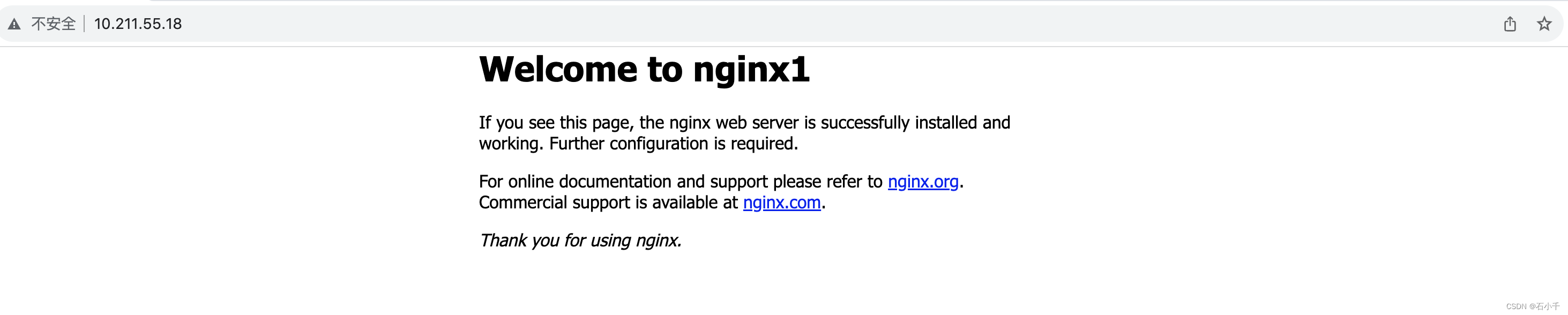 nginx1 容器运行服务