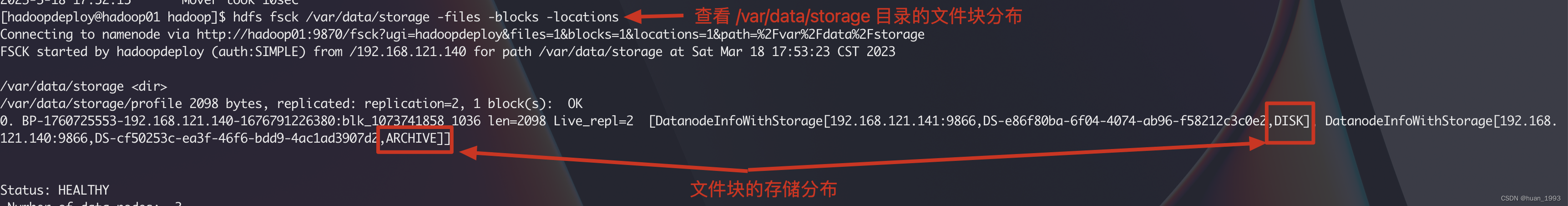 查看文件块分布