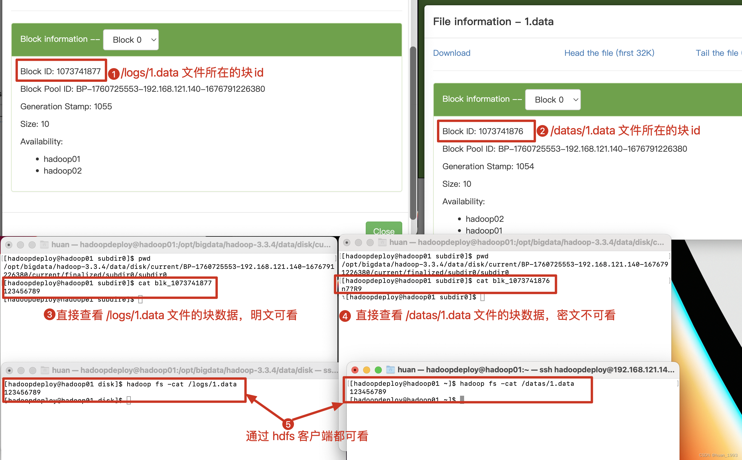 查看加密文件