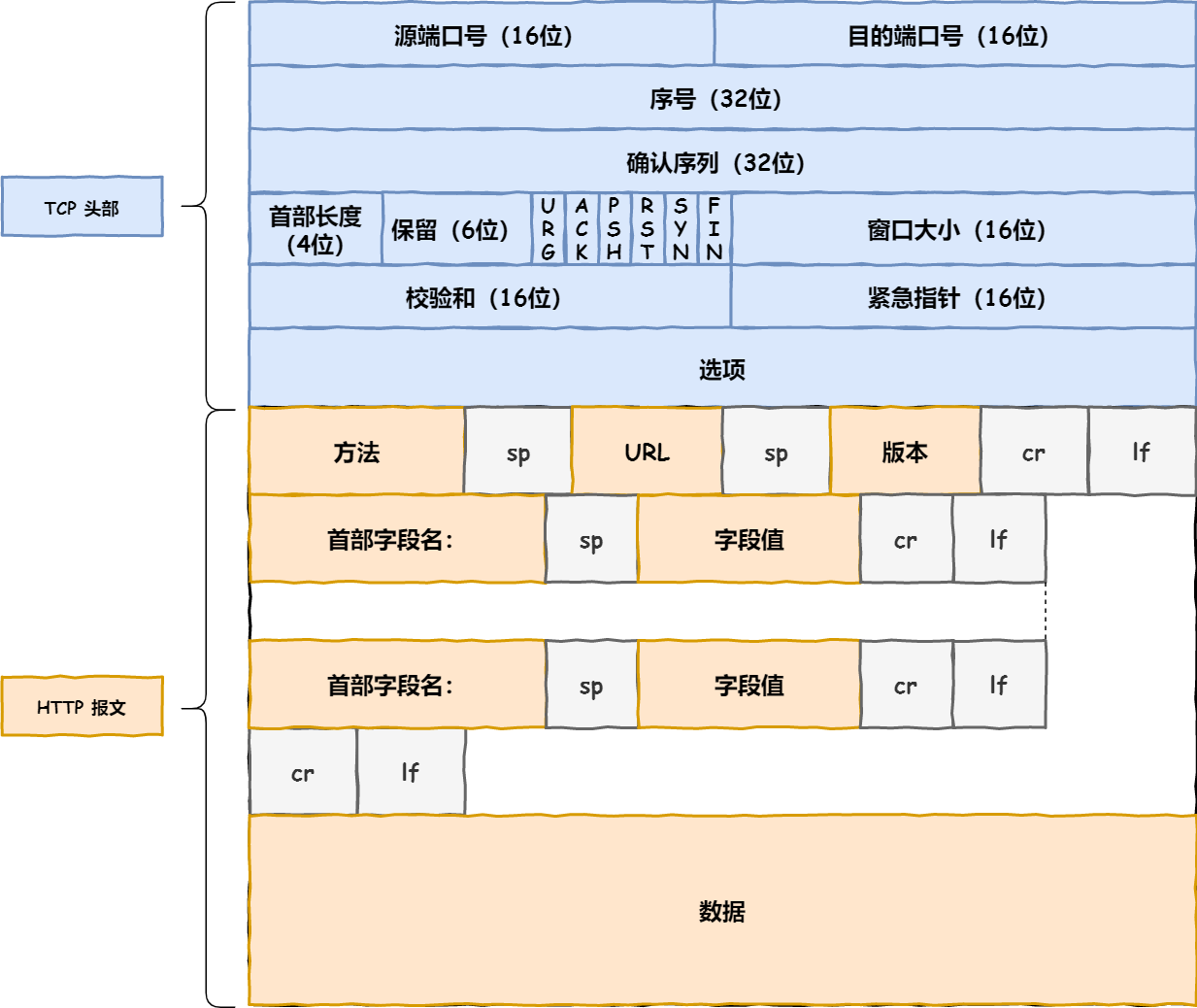 TCP 层报文