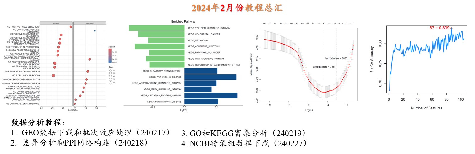 2024年2月份更新文档