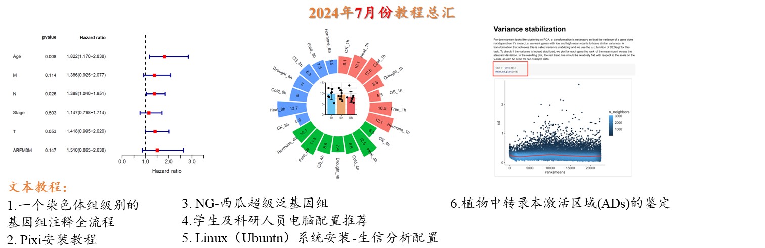 2024年7月份更新文档