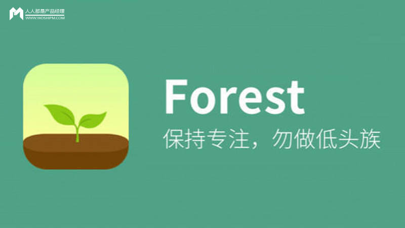 Forest专注森林