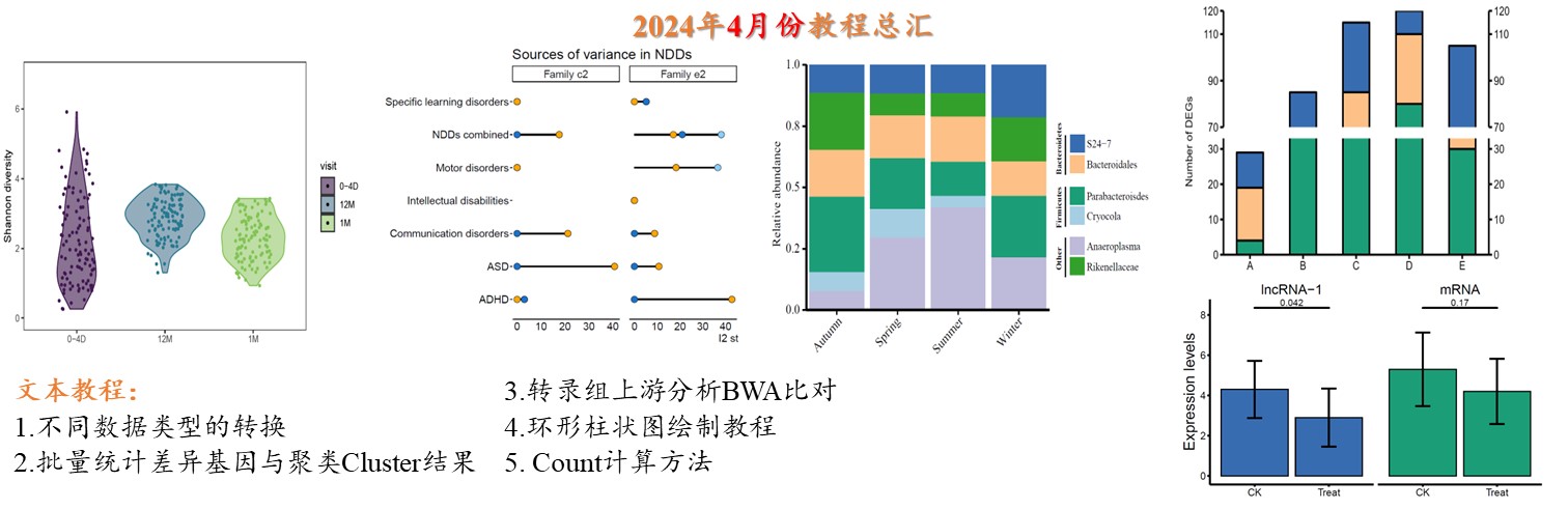 2024年4月份更新文档