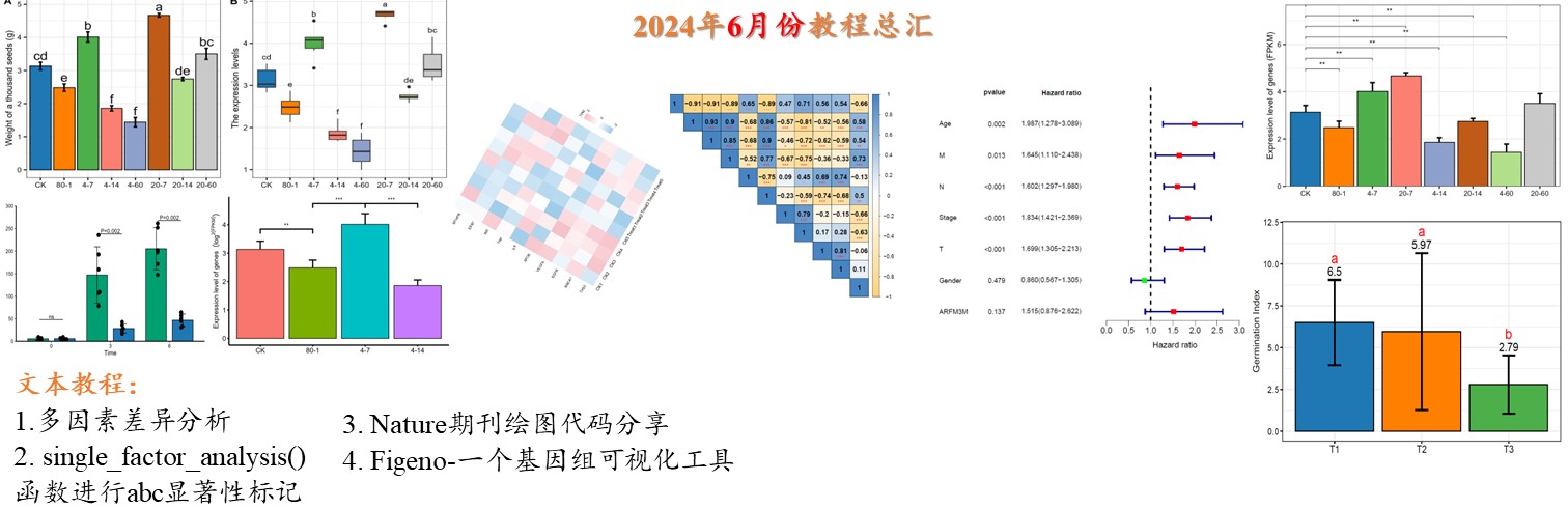 2024年6月份更新文档