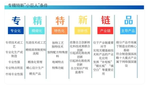 专精特新小巨人企业认定